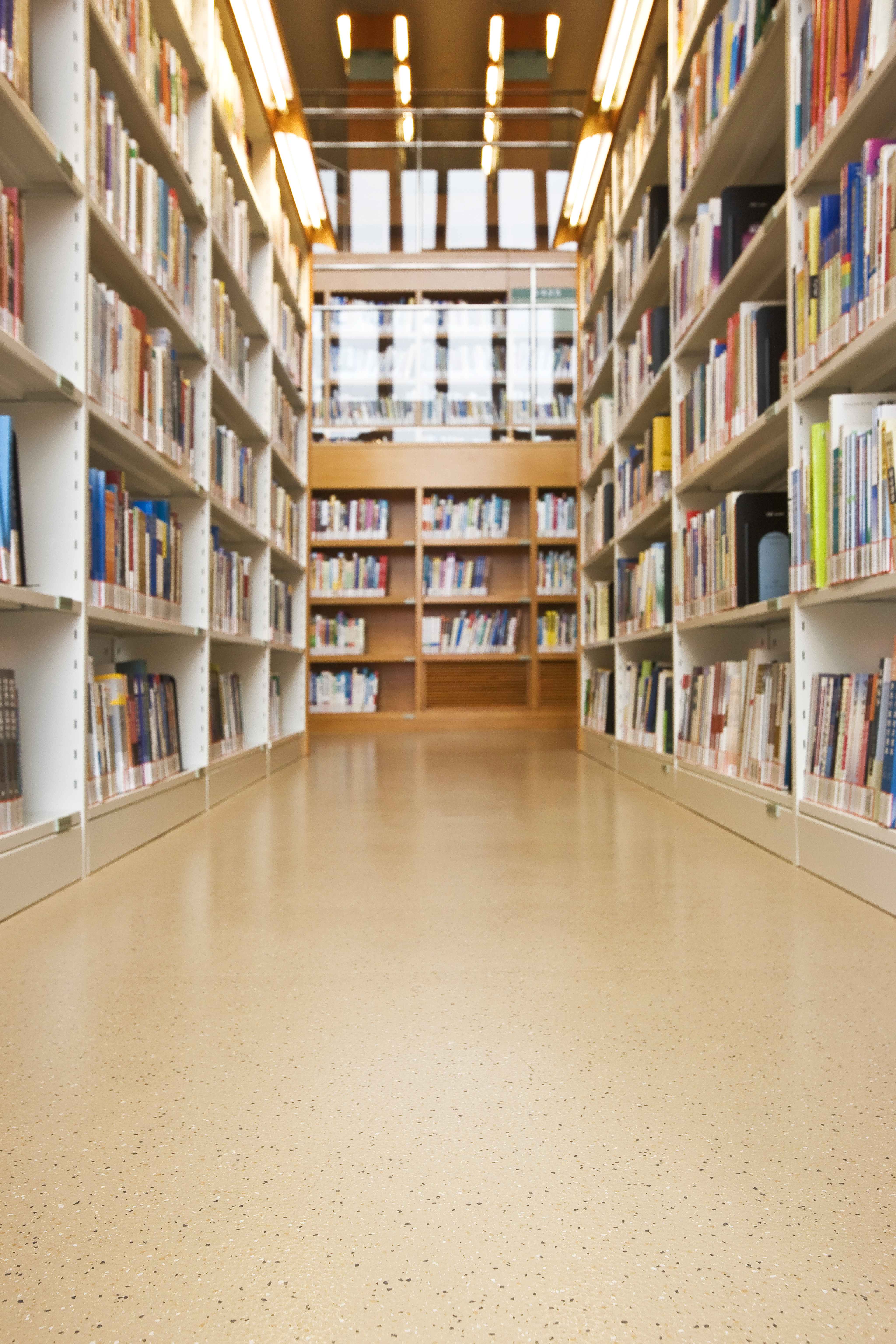 Pudong Library project photo 5