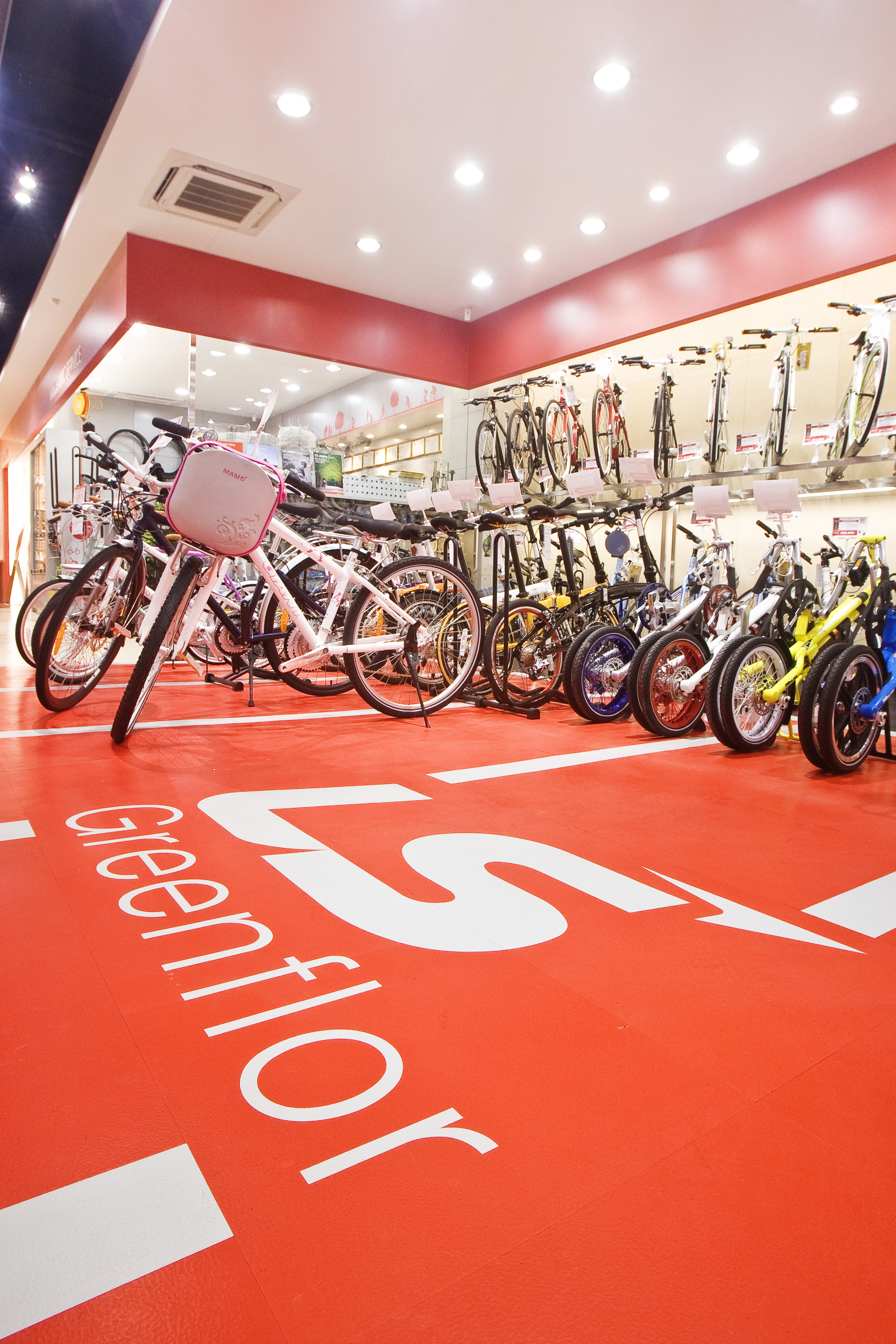Biclo project