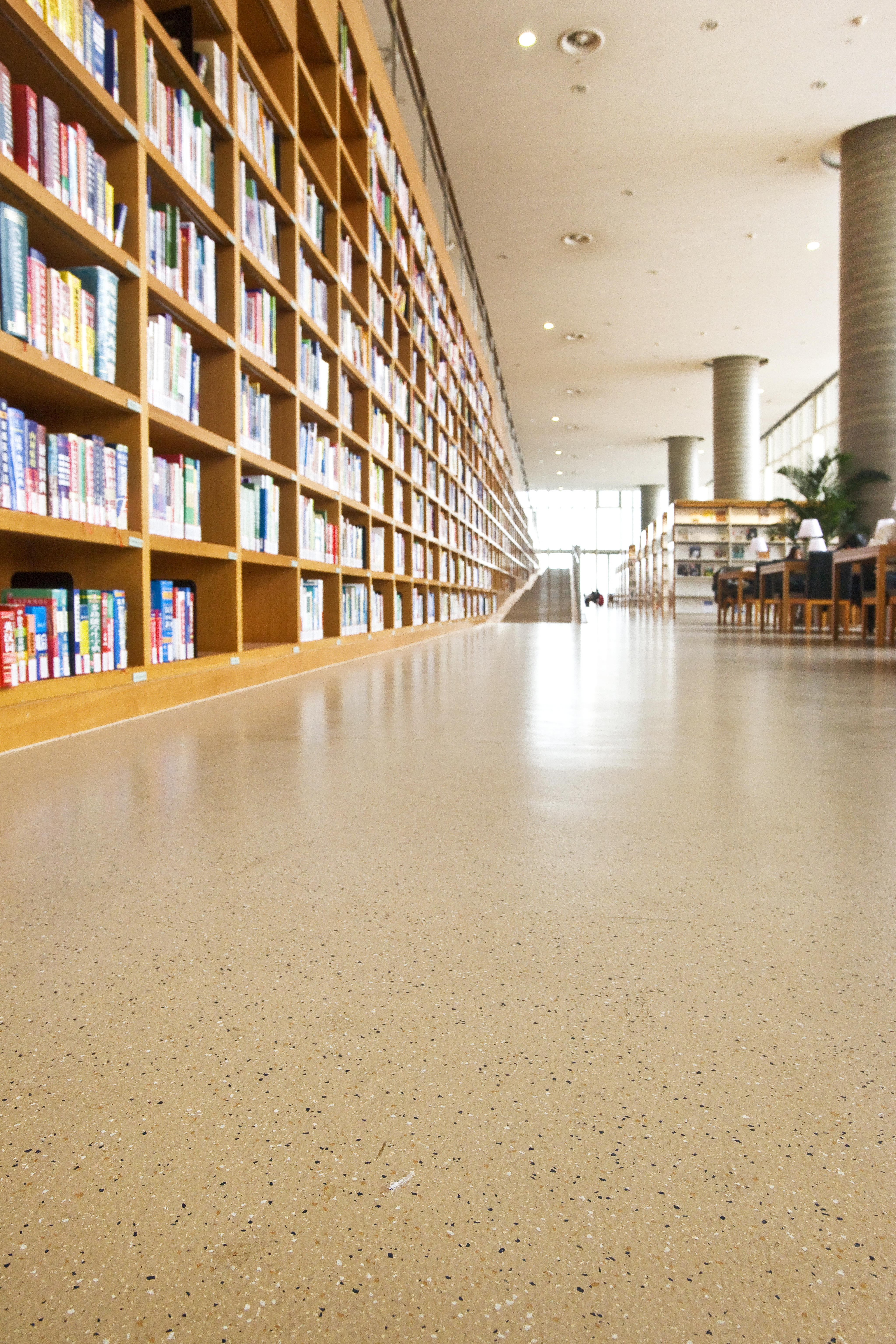 Pudong Library project photo 4