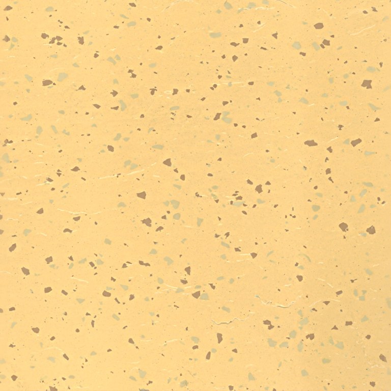 Chip Slate NML401