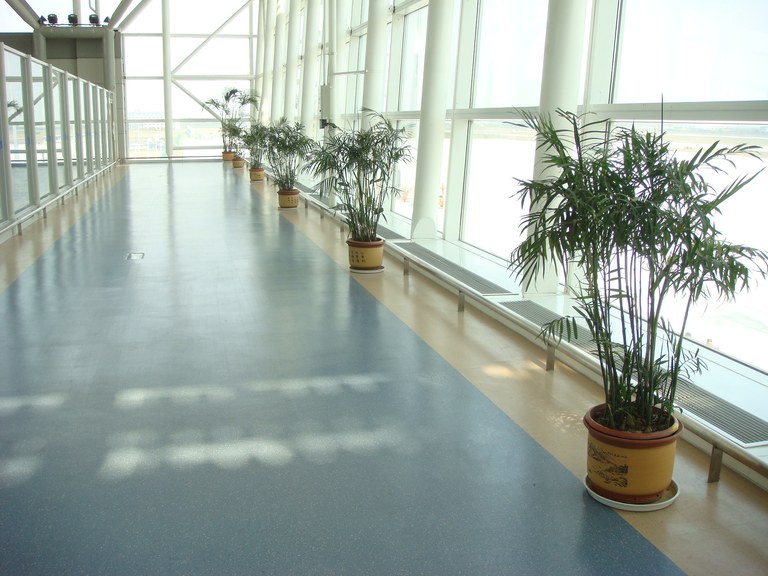 Chip Hammered application example