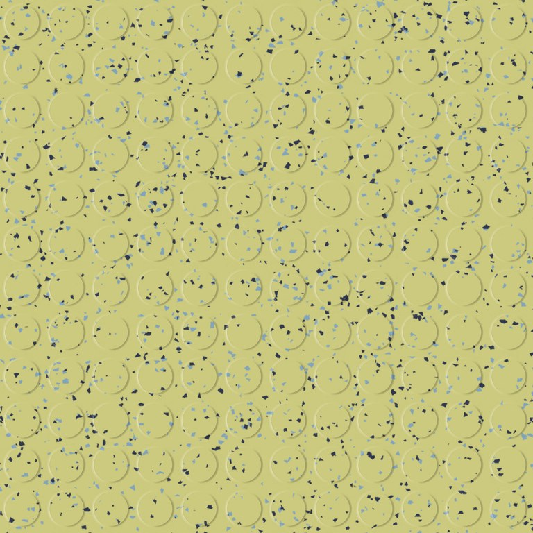 Chip Round NMR81